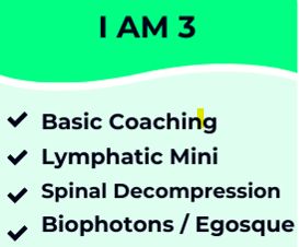 IAM 3 Detox Package