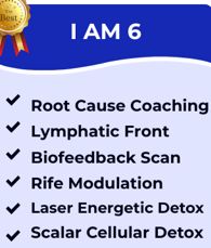 IAM 6 Package